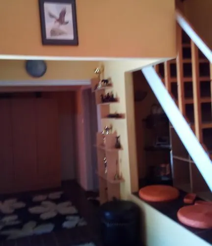 Judit Nyaralo Velence