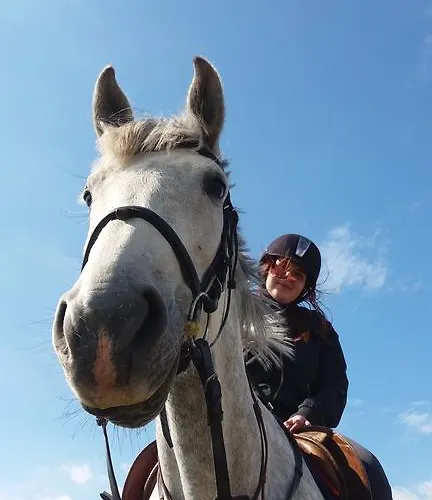 Judit Nyaralo * Velence